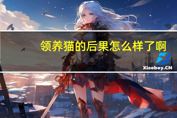 领养猫的后果怎么样了啊