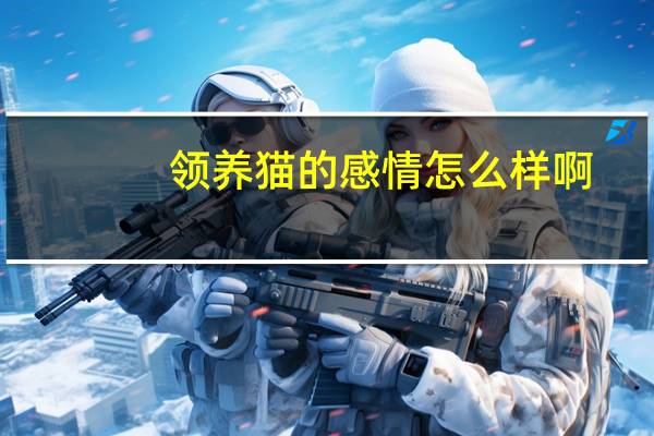 领养猫的感情怎么样啊