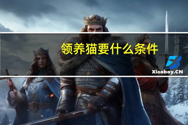 领养猫要什么条件