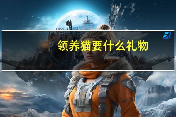 领养猫要什么礼物