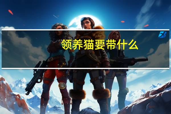 领养猫要带什么