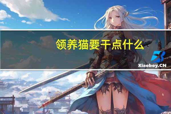 领养猫要干点什么