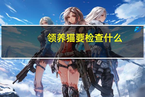 领养猫要检查什么