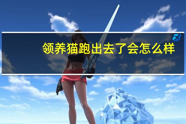 领养猫跑出去了会怎么样