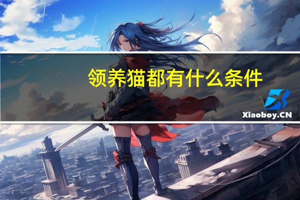 领养猫都有什么条件