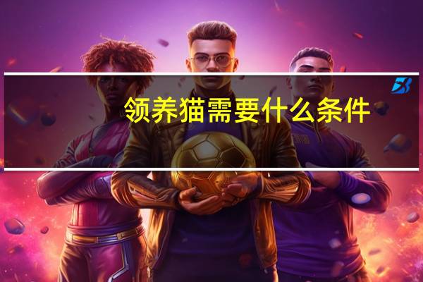 领养猫需要什么条件