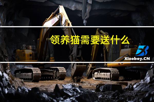 领养猫需要送什么