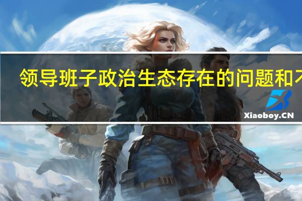 领导班子政治生态存在的问题和不足(政治生态存在的问题和不足)