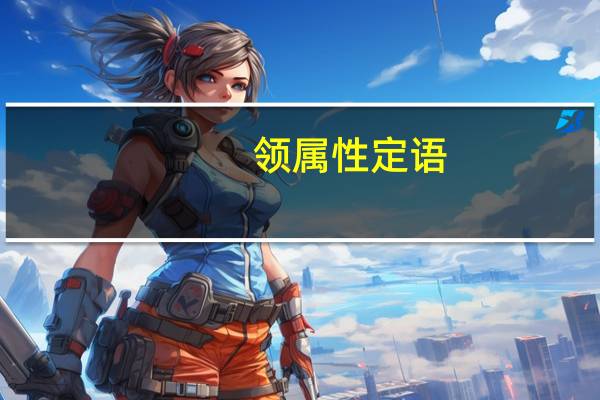 领属性定语
