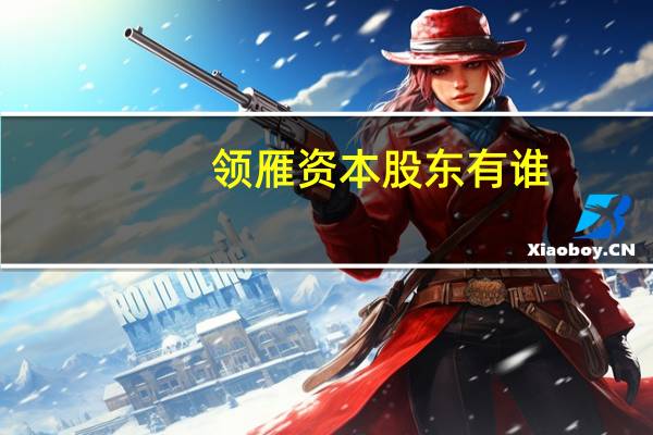 领雁资本股东有谁(山西领雁科技有限公司简介)