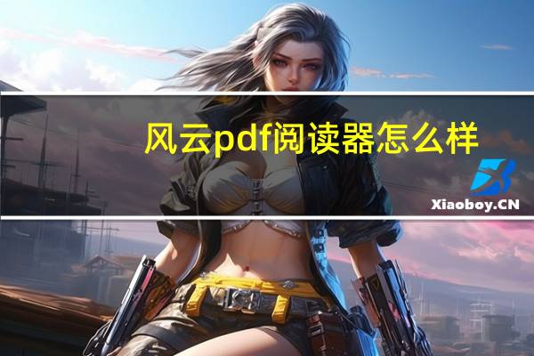 风云pdf阅读器怎么样（风云pdf阅读器）