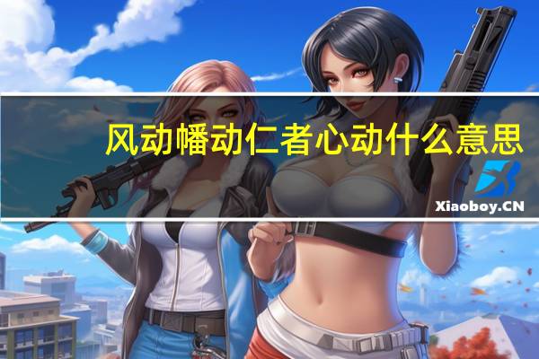 风动幡动仁者心动什么意思