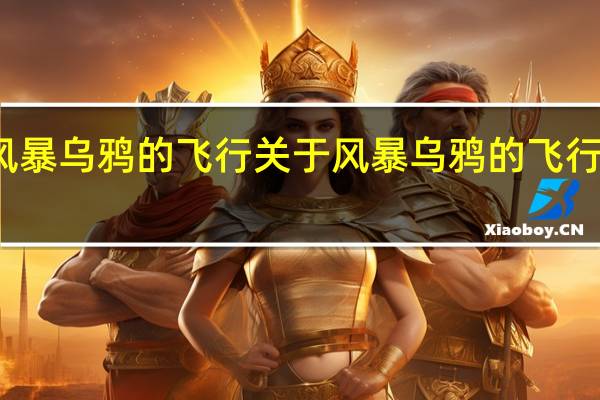 风暴乌鸦的飞行 关于风暴乌鸦的飞行的介绍