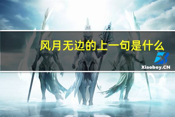 风月无边的上一句是什么
