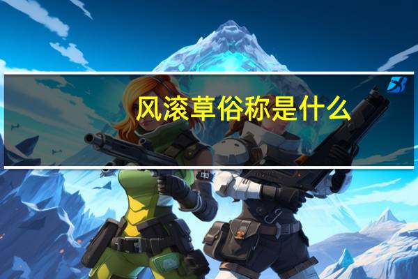 风滚草俗称是什么