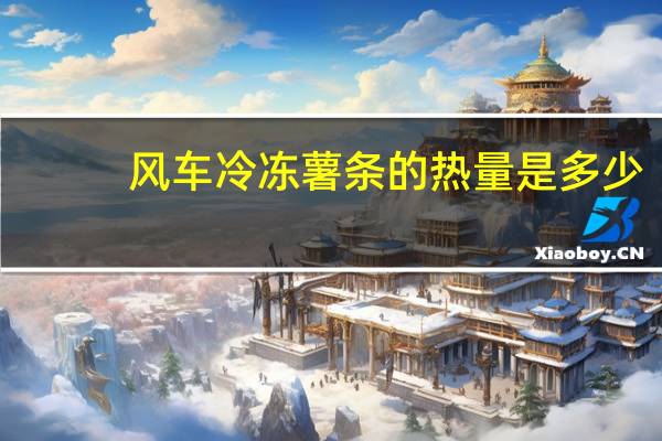 风车 冷冻薯条的热量是多少