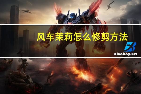 风车茉莉怎么修剪方法
