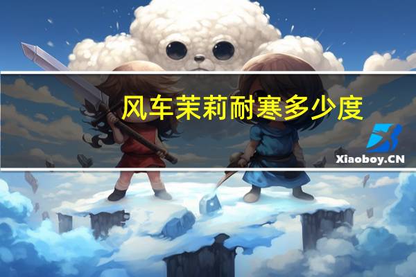 风车茉莉耐寒多少度