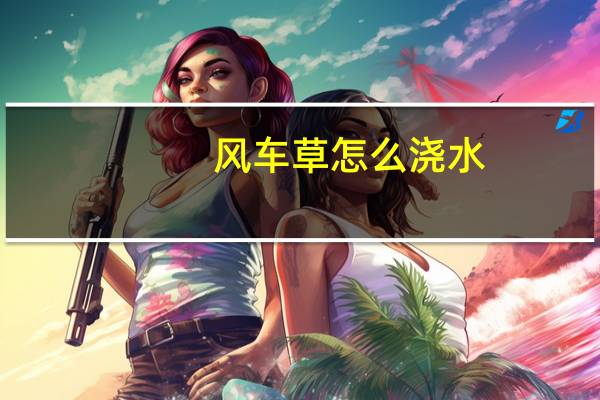 风车草怎么浇水