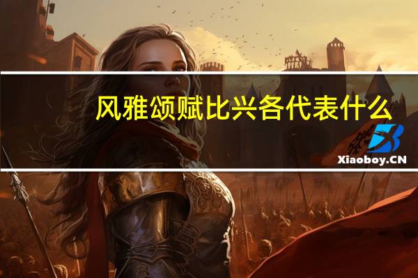 风雅颂赋比兴各代表什么（风雅颂赋比兴）