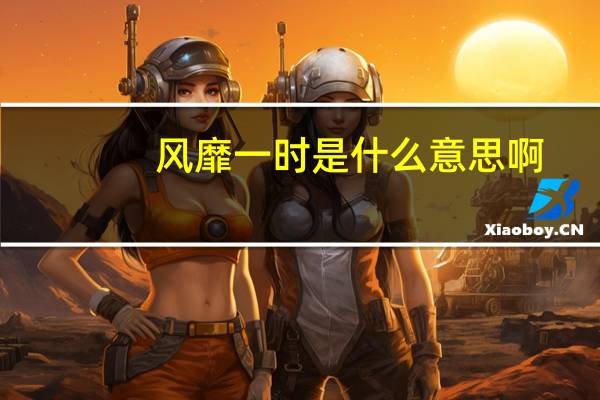 风靡一时是什么意思啊（风靡一时是什么意思）