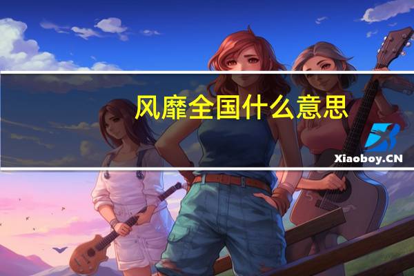 风靡全国什么意思