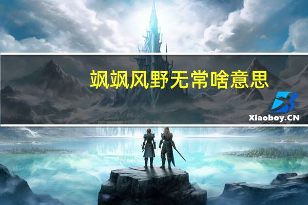 飒飒风野无常啥意思