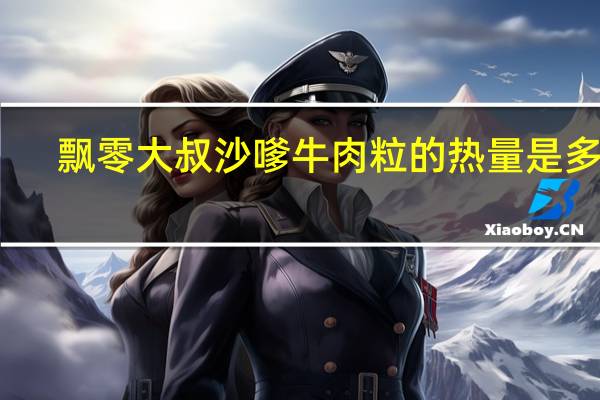 飘零大叔 沙嗲牛肉粒的热量是多少