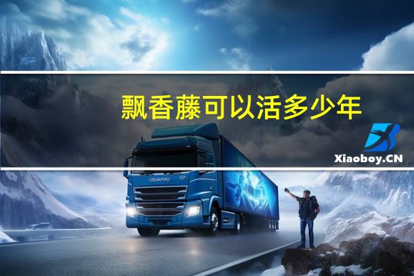 飘香藤可以活多少年