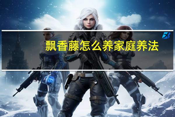 飘香藤怎么养家庭养法