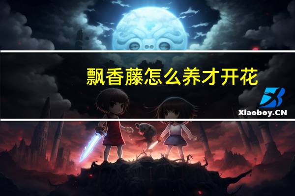 飘香藤怎么养才开花