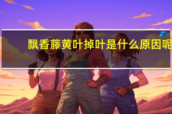飘香藤黄叶掉叶是什么原因呢