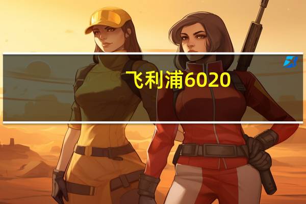 飞利浦6020(飞利浦打印机lasermfd6020怎样安装)
