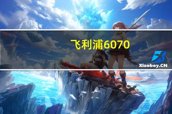 飞利浦6070(飞利浦HQ6070剃须刀)