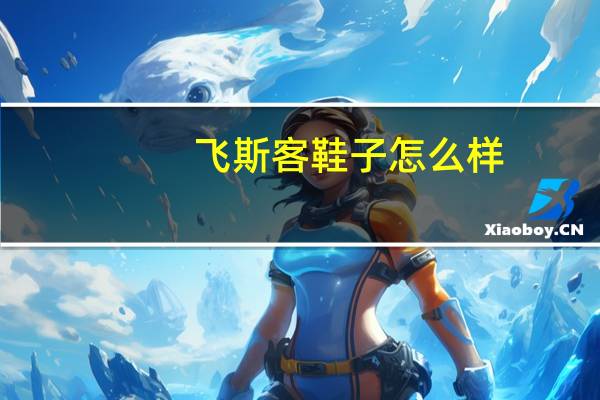 飞斯客鞋子怎么样