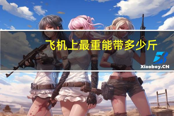 飞机上最重能带多少斤