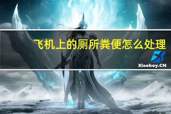 飞机上的厕所粪便怎么处理