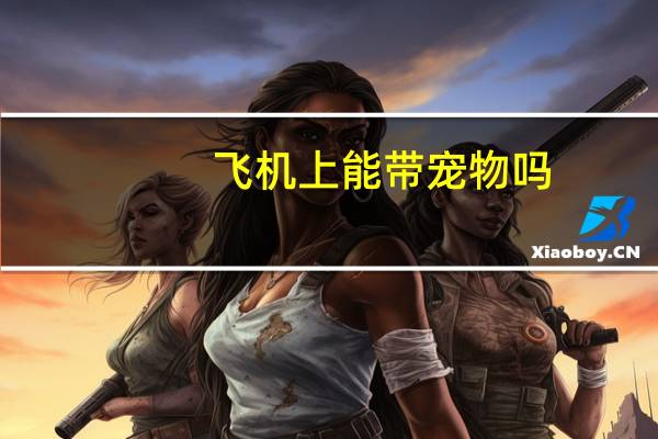 飞机上能带宠物吗