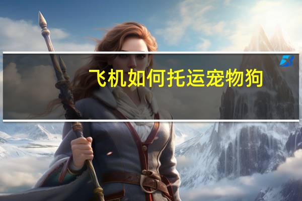 飞机如何托运宠物狗