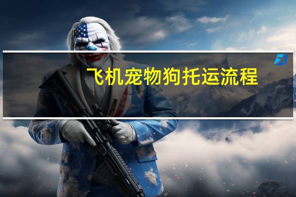 飞机宠物狗托运流程