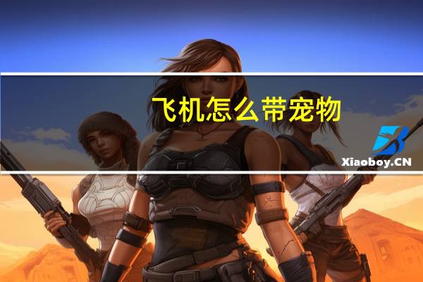 飞机怎么带宠物