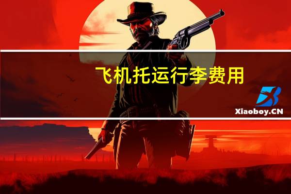 飞机托运行李费用
