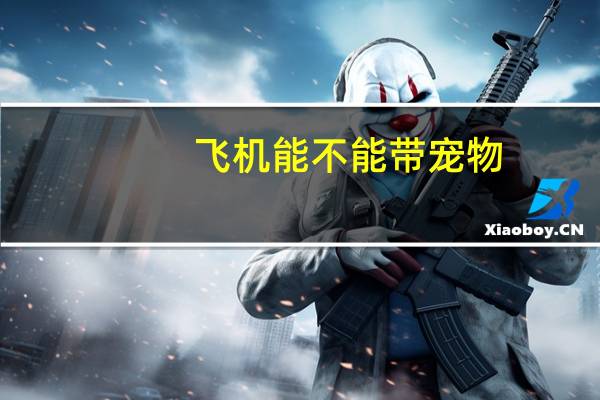 飞机能不能带宠物