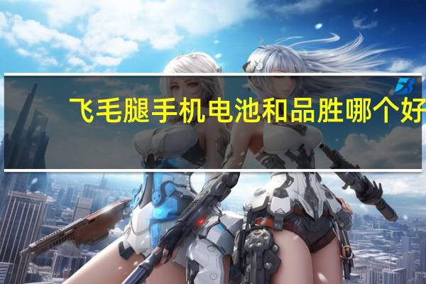 飞毛腿手机电池和品胜哪个好（飞毛腿手机电池）