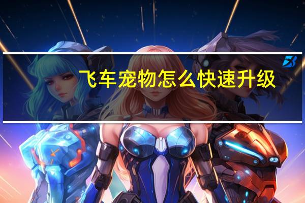 飞车宠物怎么快速升级