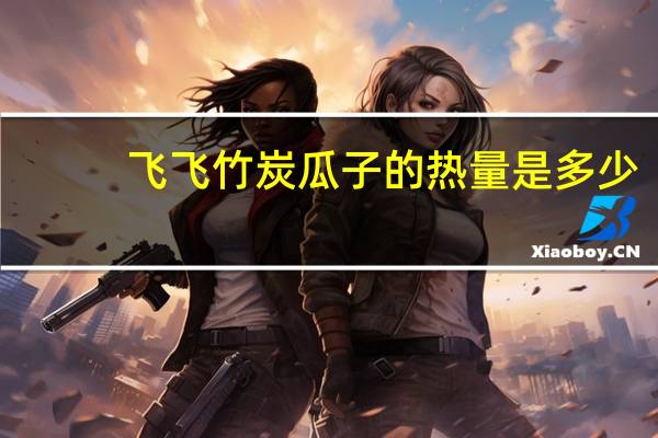 飞飞 竹炭瓜子的热量是多少