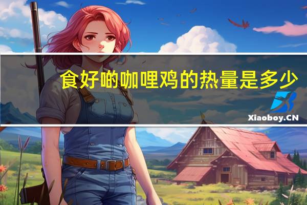 食好啲 咖哩鸡的热量是多少