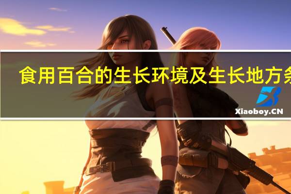 食用百合的生长环境及生长地方条件
