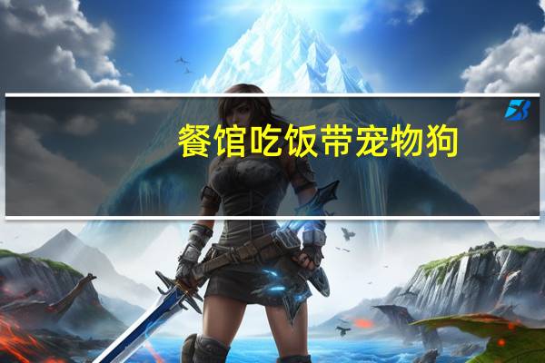 餐馆吃饭带宠物狗