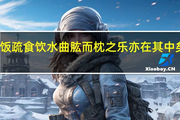 饭疏食饮水曲肱而枕之乐亦在其中矣理解